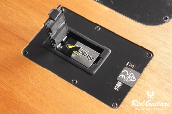 Acoustasonic Player Telecaster - Butterscotch Blonde